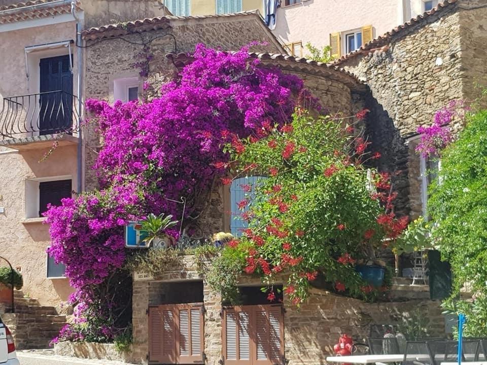 Maison De Vacances Medievale Bormes-Les-Mimosas Village Zewnętrze zdjęcie