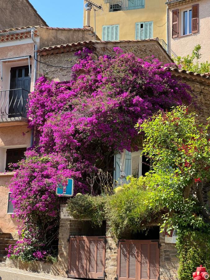 Maison De Vacances Medievale Bormes-Les-Mimosas Village Zewnętrze zdjęcie