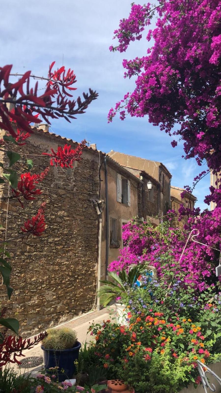 Maison De Vacances Medievale Bormes-Les-Mimosas Village Zewnętrze zdjęcie